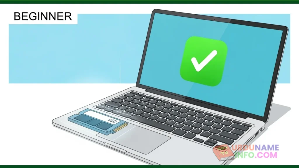 Which One Is Better for Beginners?